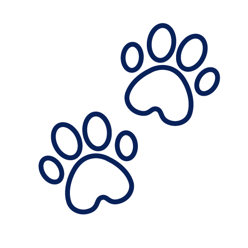 Icon_Pet_Food_Brand
